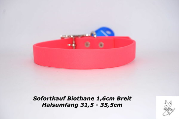 Biothane Halsband Pink Halsumfang 31,5-35,5cm