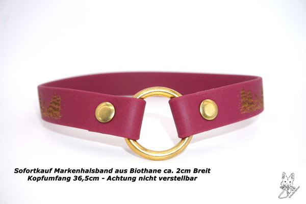 Markenhalsband Halsumfang /Kopfumfang 36,5cm