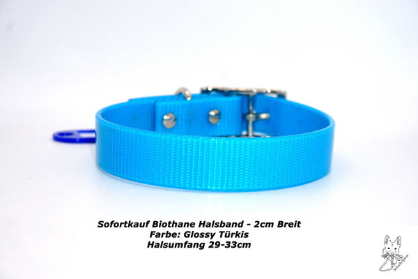 Biothane Halsband Glossy Türkis HU 29-33cm
