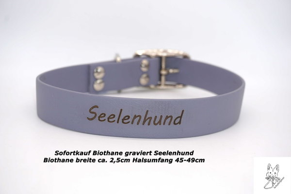 Biothane Halsband Seelenhund HU45-49cm